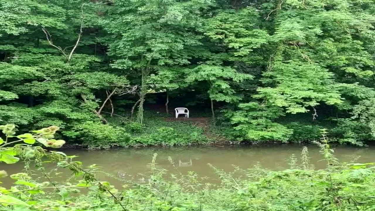 Revelation - Just Be Dub To Me (Divine Inspiration Remix) Revelation - Just Be Dub To Me (Divine Inspiration Remix)