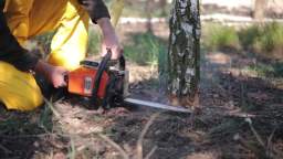 Cutting Tress For Bill Jensen