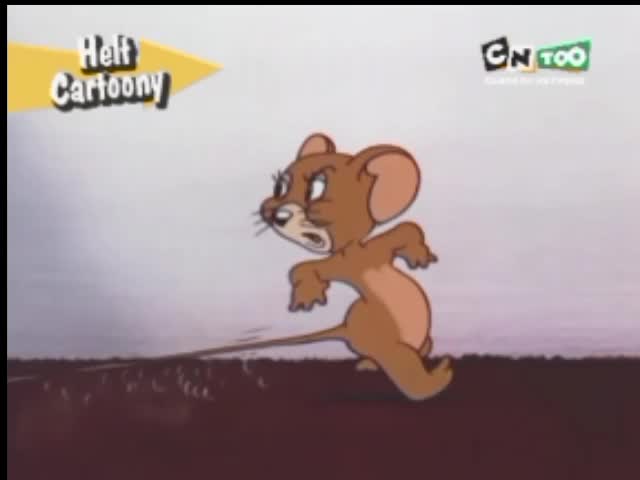 Cartoon Network Too Nordic - Prelaunch Fragment - NEW! October 2006 Cartoon Network Too Nordic - Prelaunch Fragment - NEW! October 2006