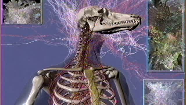 my truecel larping fagg is cumming out in me and i cant wait to get more things for nothing again my truecel larping fagg is cumming out in me and i cant wait to get more things for nothing again