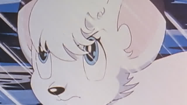 Watching Kimba The Real Lion King Watching Kimba The Real Lion King