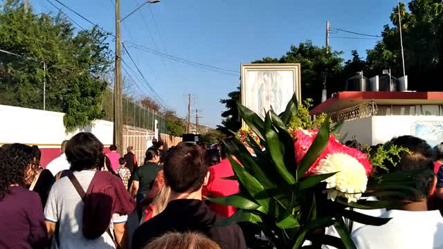 Recorrido de la procesión de Nuestra Señora de Guadalupe en Mazatlán, 12 de diciembre de 2024 05