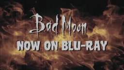 Bad Moon